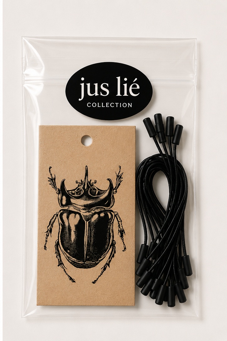 Xyloryctes Testalus Beetle Gift Tag - Image 2