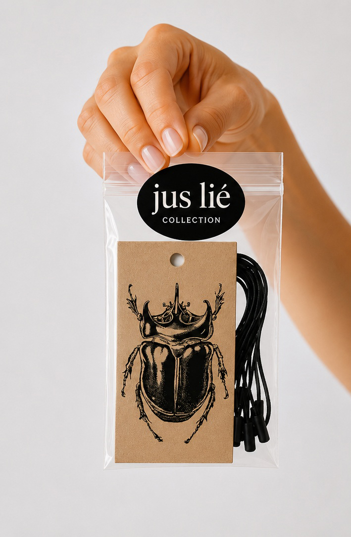 Xyloryctes Testalus Beetle Gift Tag